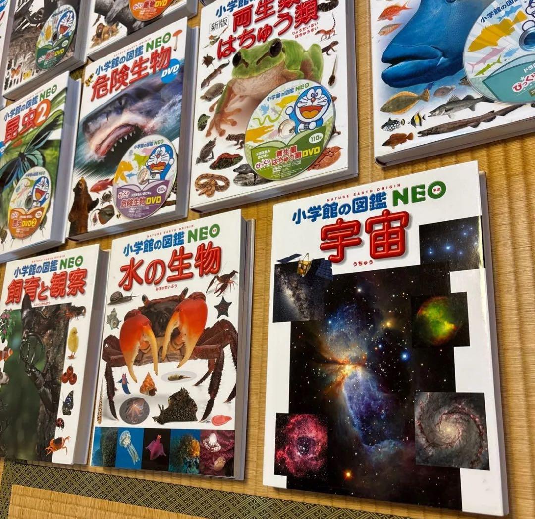 【すしろー】小学館の図鑑NEO 13冊セット　DVD付き　美品