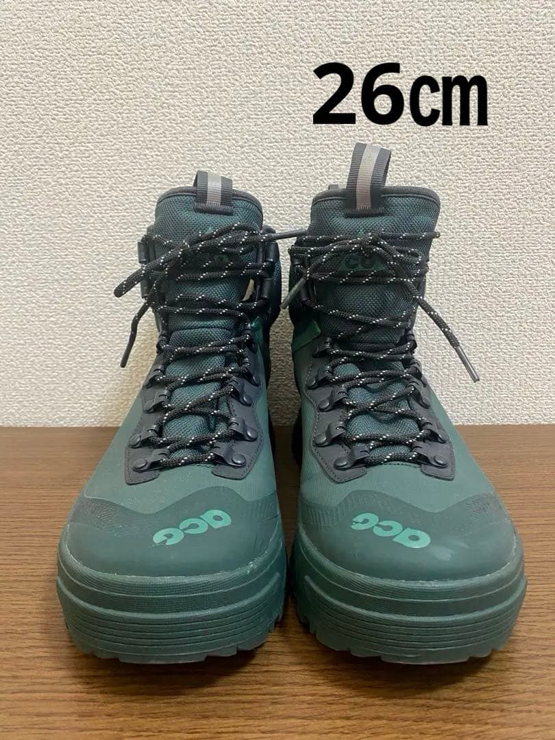 【再出品】NIKE ACG 26㎝
