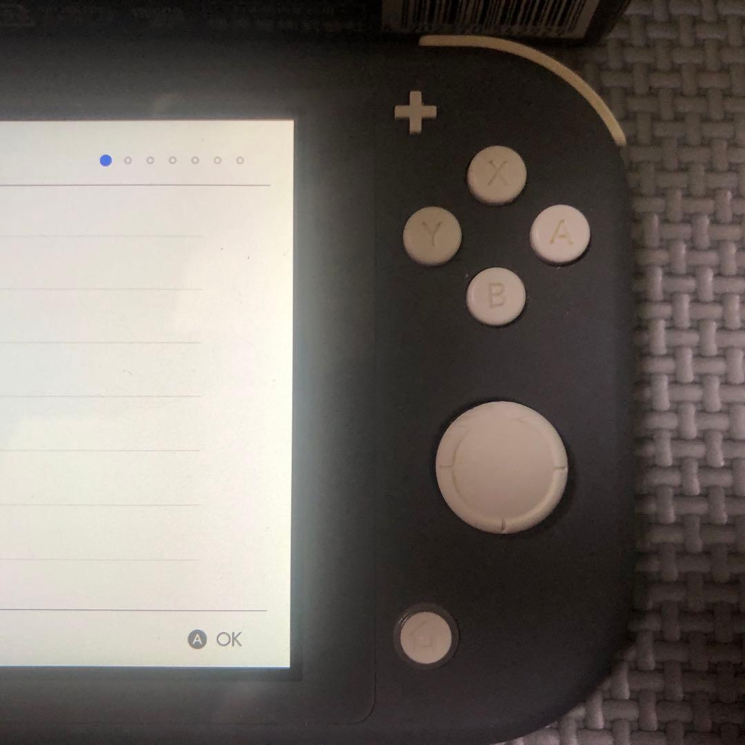 Switch Lite スイッチライトおまけ付き