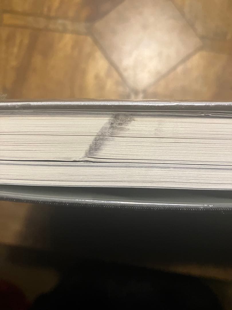 ロバート・フランク storylines 写真集　robert frank