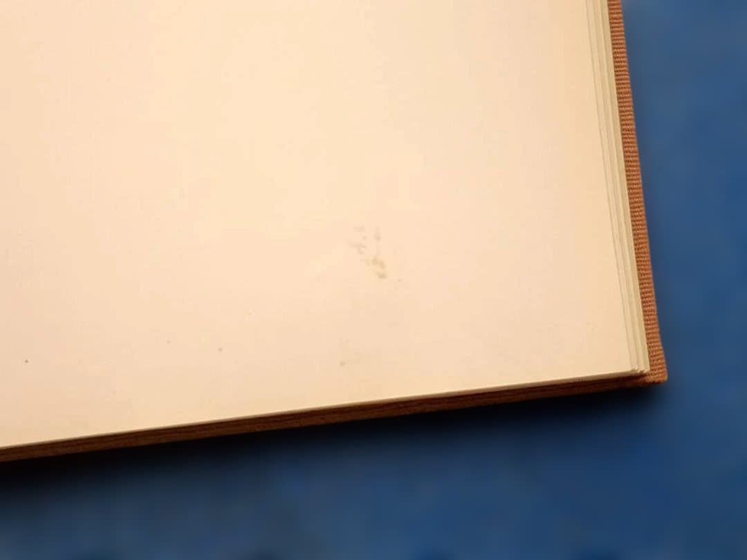 平野富山木彫作品集 講談社　大型本 平野富山 定価25,000円