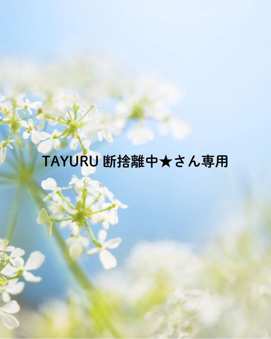 TAYURU 断捨離中★さん専用