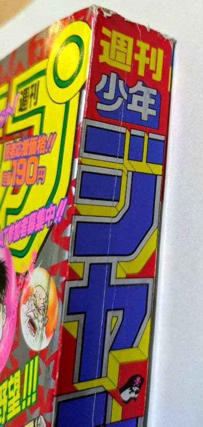 週刊少年ジャンプ　1995年 No.25 DRAGON BALL 最終回掲載号