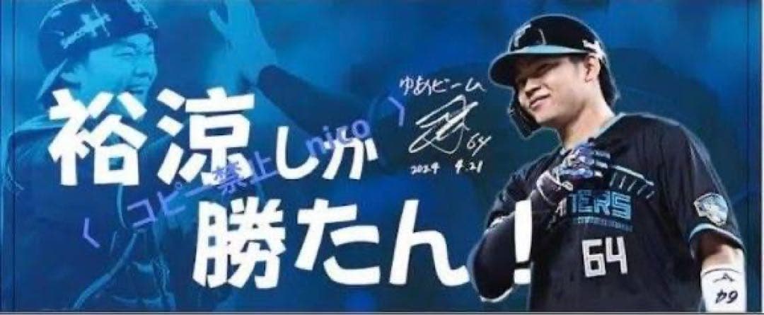 激レア★ファイターズ 田宮裕涼 HERO タオル 受注限定 ブランケット