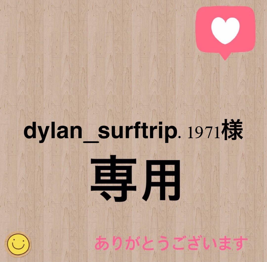 パーツ dylan_surftrip.1971