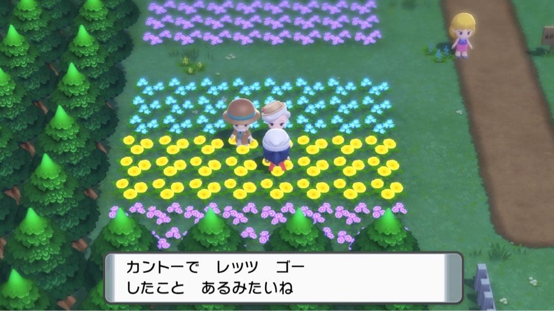 BDSP 1.1.1 SV 1.0.1 マイクラ1.17 Switch本体