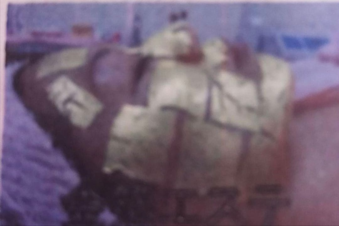 金箔エステpure gold 業務用金箔エステ　ゴールド24k