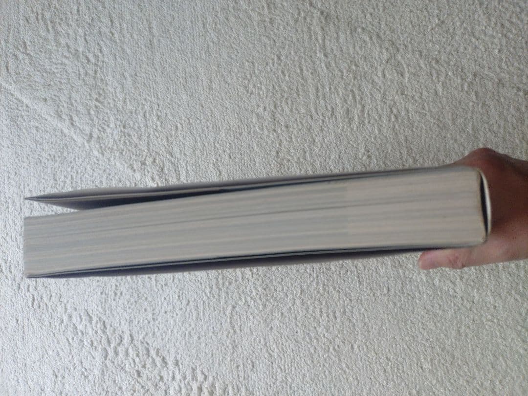 レア! 洞窟芸術 Cave Art ジャン・クロッテ Jean Clottes