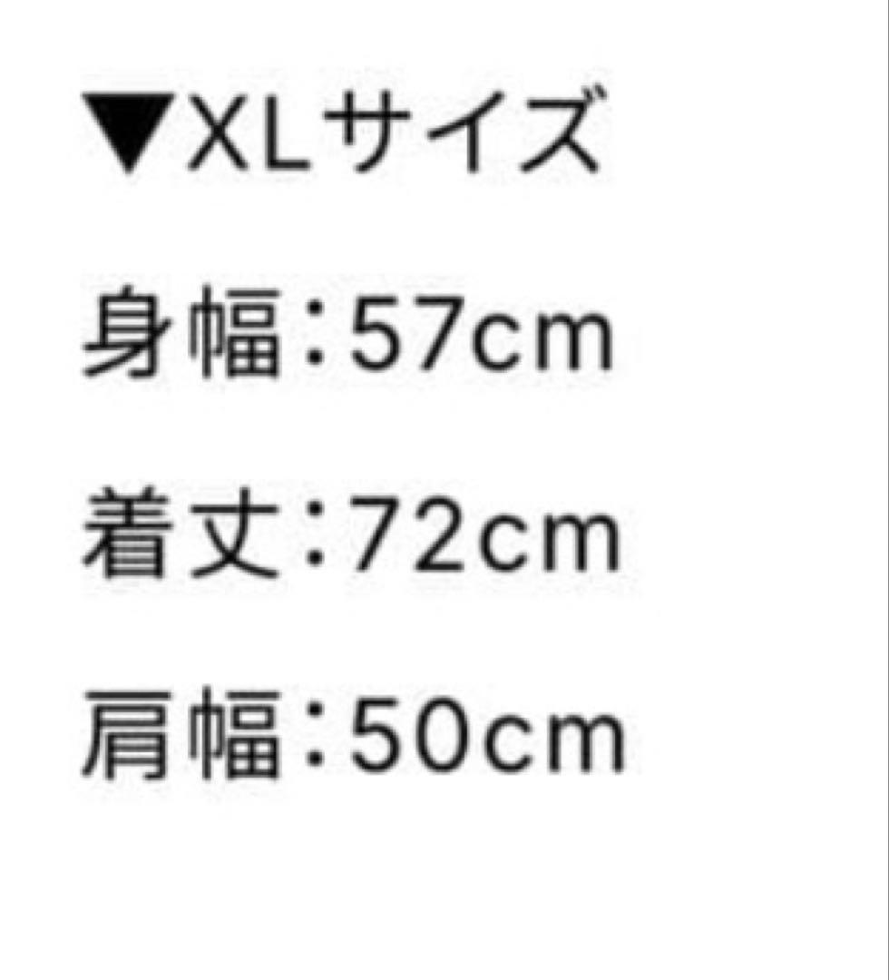 fj Tシャツ　sun fade キムタク　ベルベルジン　anytee