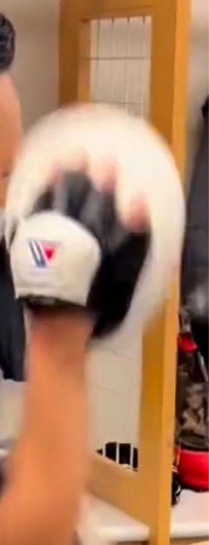 Winning ボクシングミット 特注有名トレーナー・世界チャンプ使用中。新品