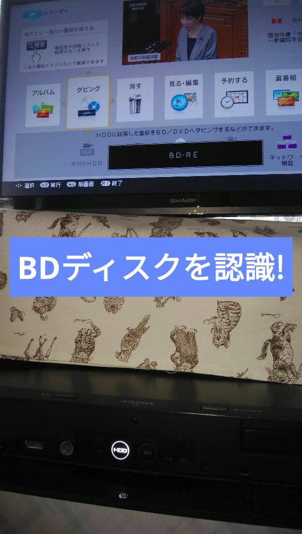 2B-C10DW1/実動で二番組同録可/21年製1TB/新リモ/4k再生/ドラ丸