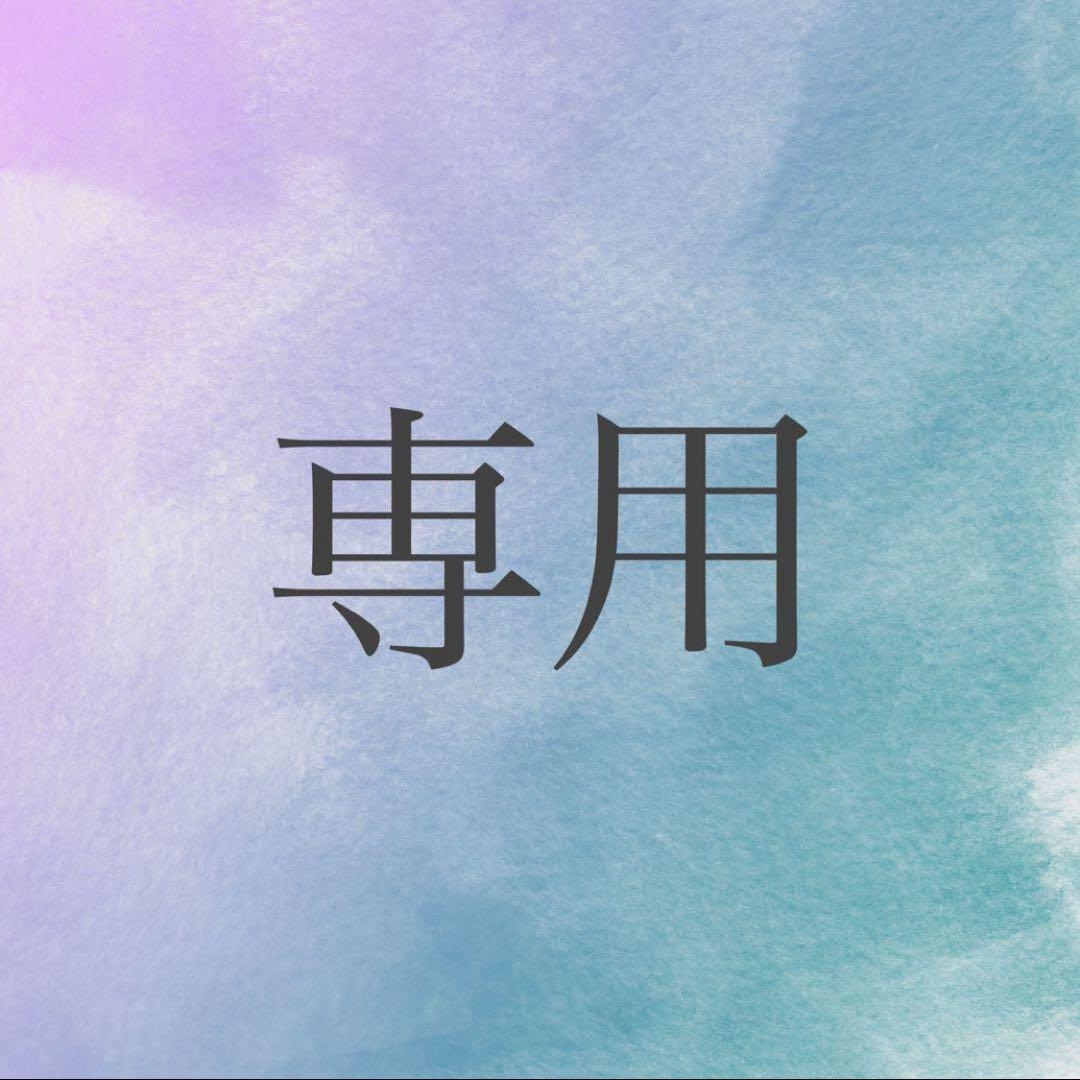 Nさま専用（全種）