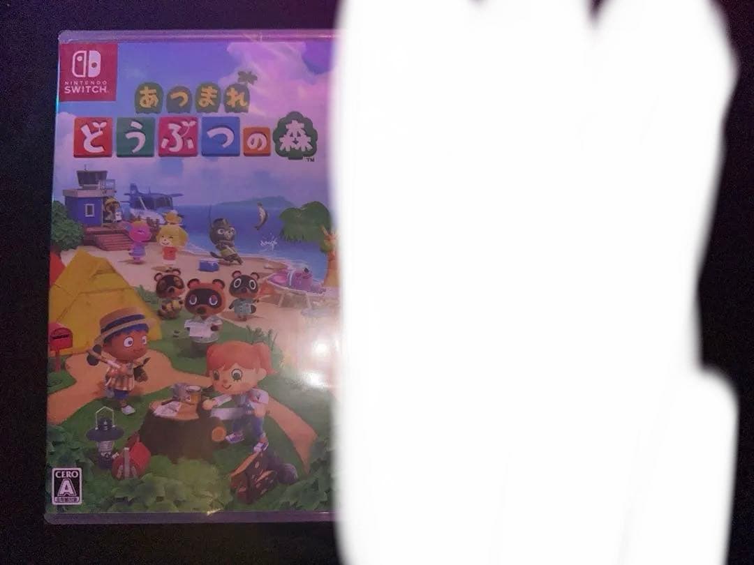 最安値 あつまれ どうぶつの森 2本セット