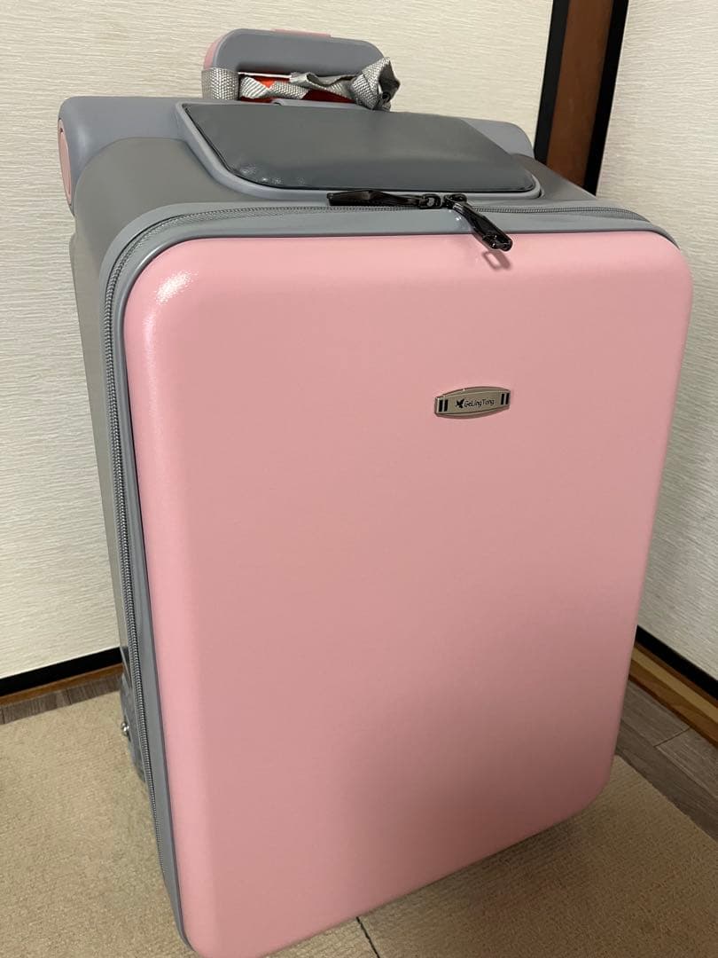 乗れるキャリーケース　乗れるスーツケース　分離可能　子供向け　旅行用ベビーカー