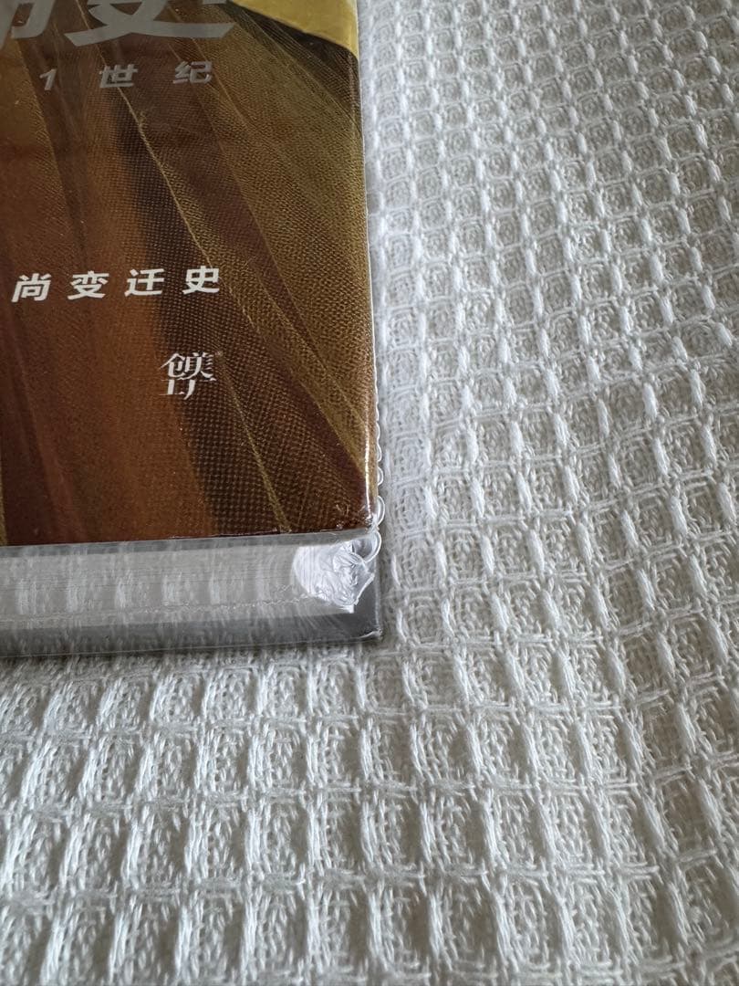 B西方服饰史 【美】萨拉·马尔基特【美】菲利斯·托托拉著