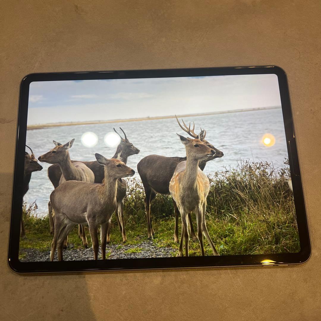 iPad Pro 11インチ　第2世代　スペースグレー