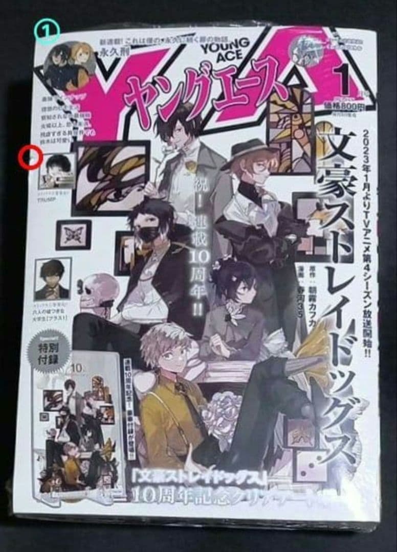 ヤングエース☆まとめ売り