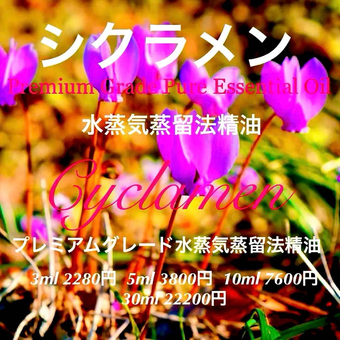 ふじちゃん様 リクエスト 5点 まとめ商品