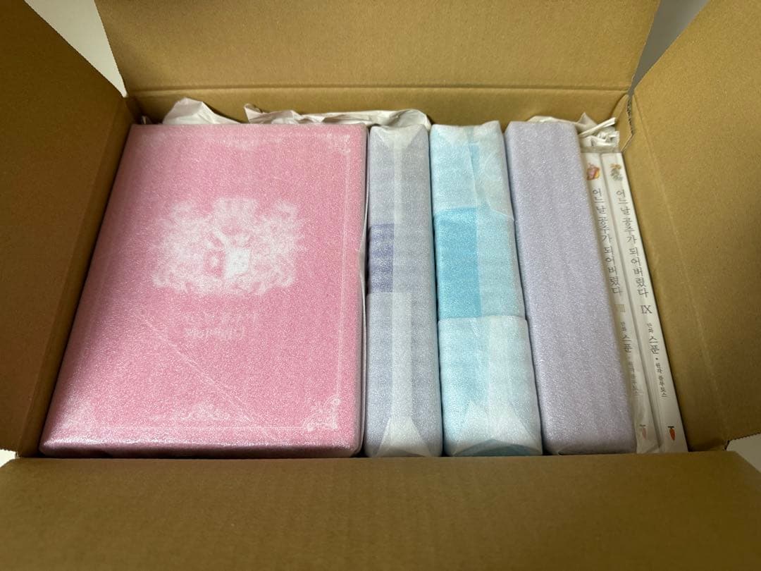 【韓国まんが完結セット】ある日、お姫様になってしまった件について　1〜9巻セット