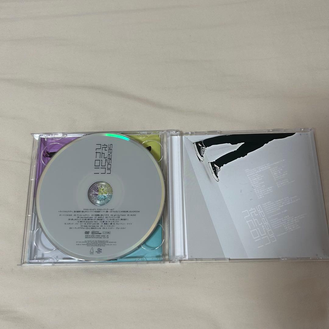 マカロニえんぴつ　アルバム　CD まとめ売り　クリアファイル付き