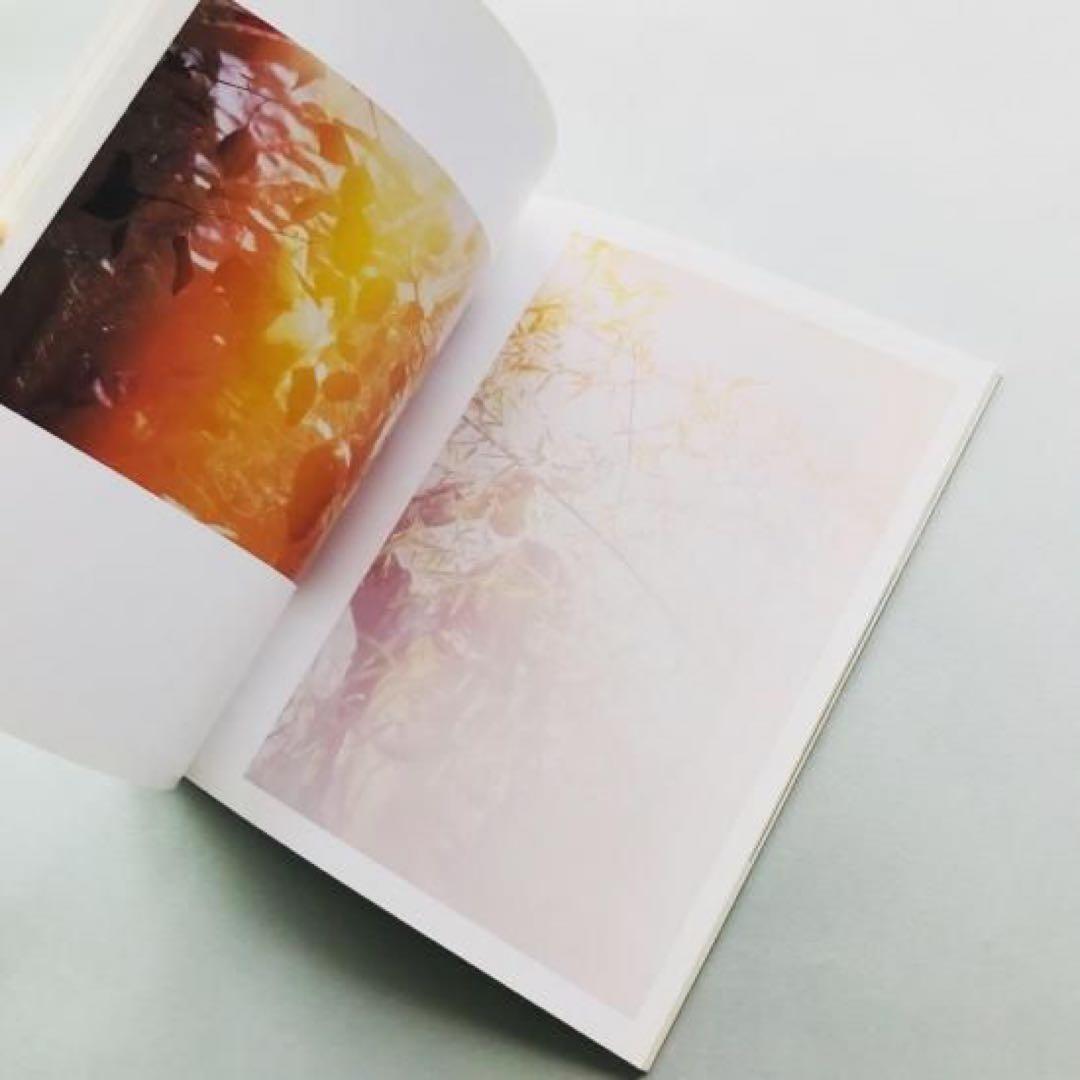 Cosmic Wonder ホンマタカシ Mark Borthwick