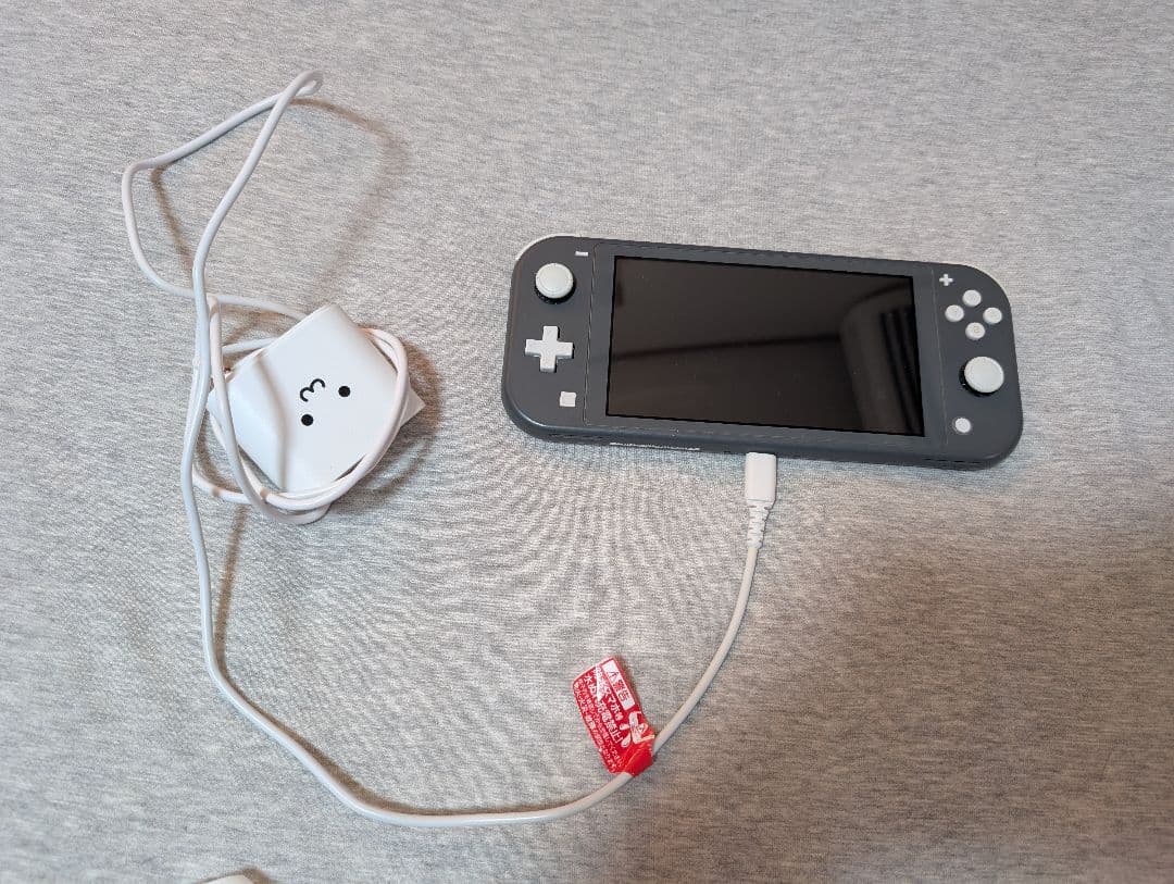 Nintendo Switch Lite グレー 本体 充電器付き（動作確認済）