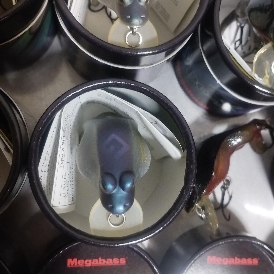 メガバスタイプＸ