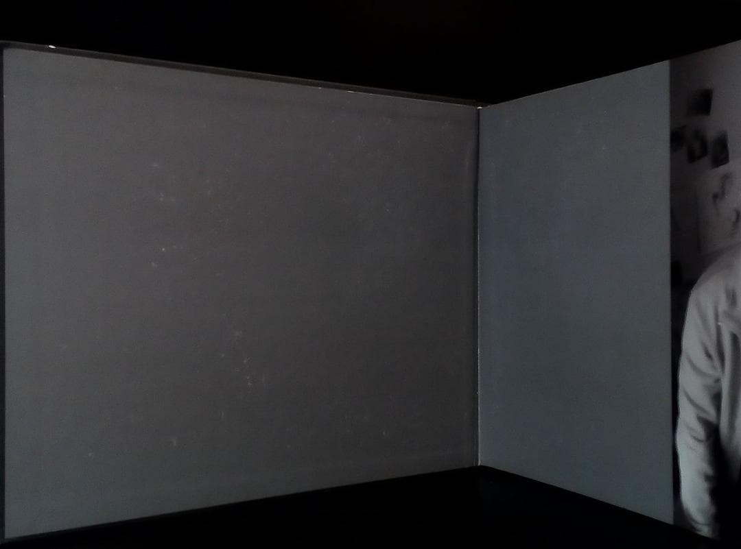 洋書 Vytenis Lingys: paintings and drawings