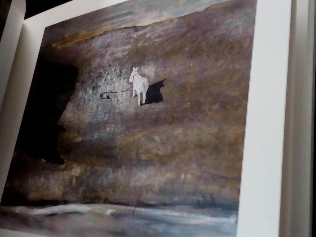 洋書 Vytenis Lingys: paintings and drawings