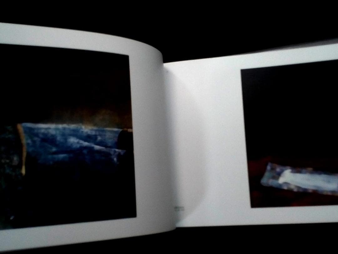 洋書 Vytenis Lingys: paintings and drawings