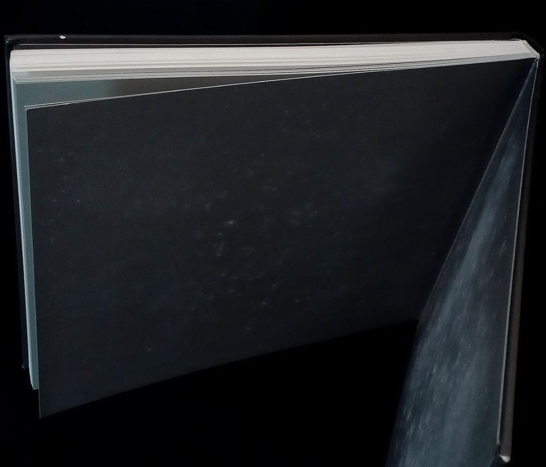 洋書 Vytenis Lingys: paintings and drawings