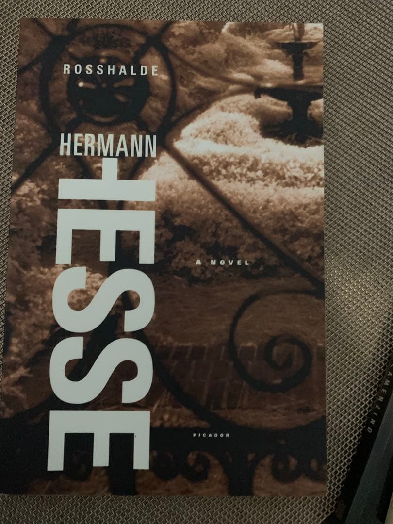 Hermann Hesse 書籍 洋書　セット