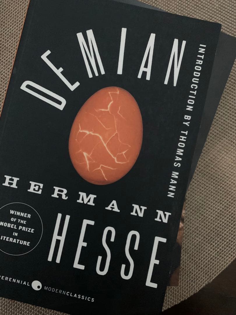 Hermann Hesse 書籍 洋書　セット