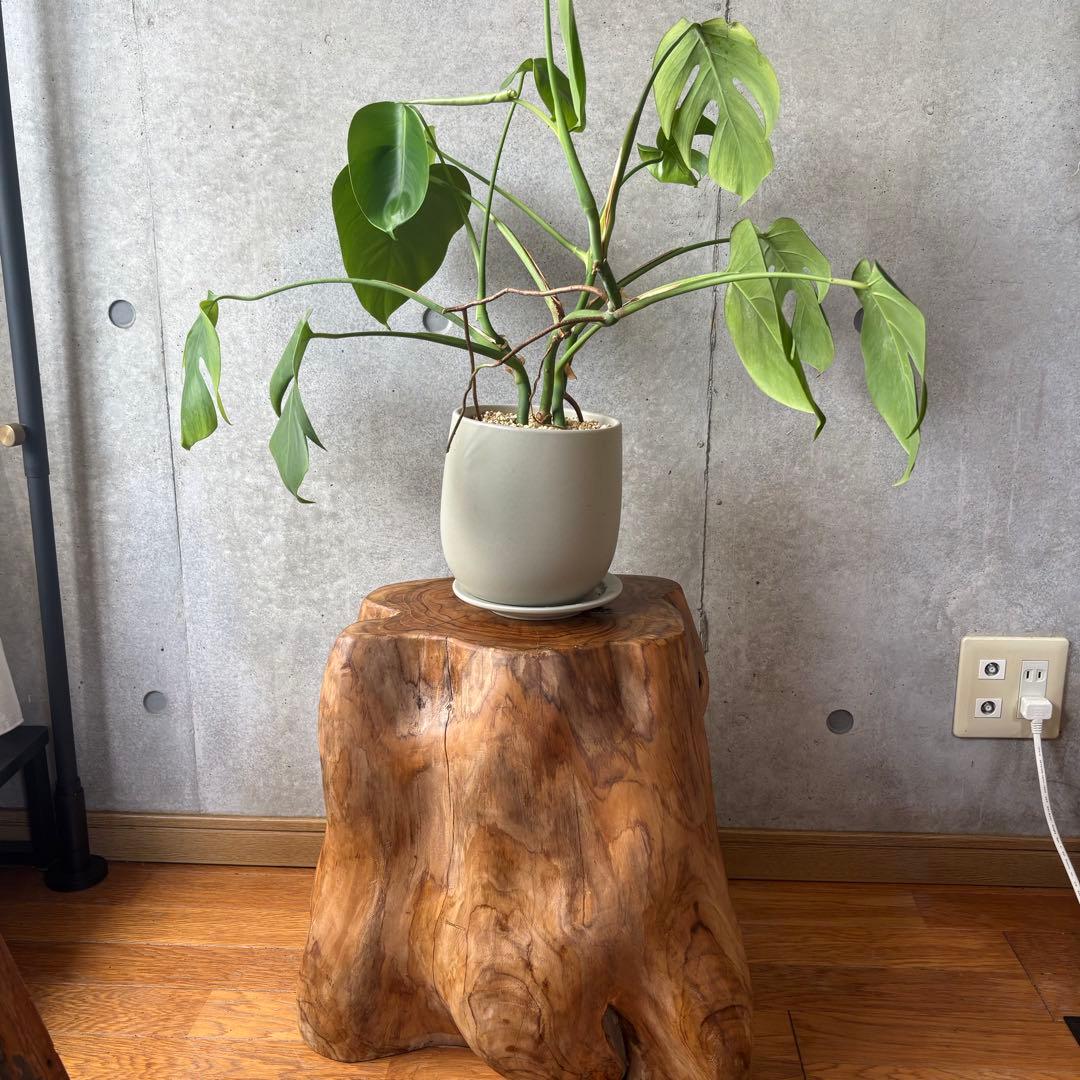 ちょさん専用ナチュラルウッド チークスツール ローテーブル インテリア