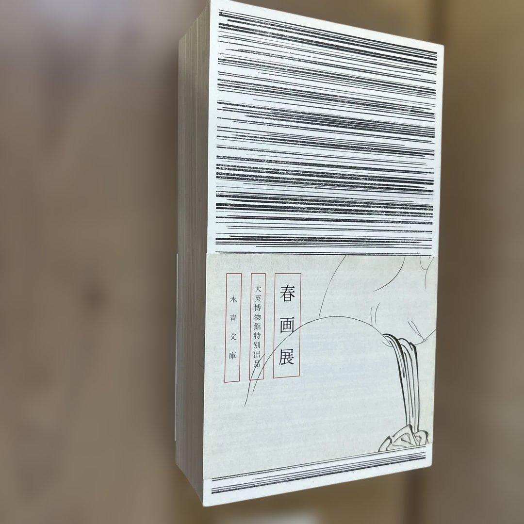 SHUNGA 春画展 図録　おまけつき