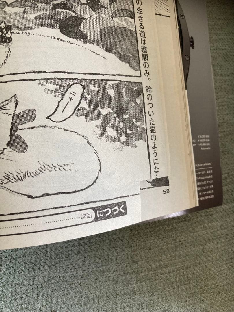 ビックコミックスペリオール11号 2020年5月22日号