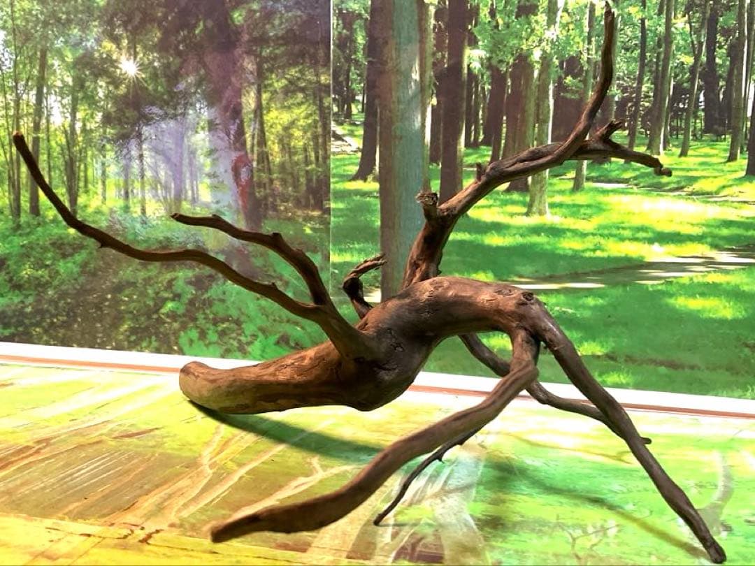 エムエー様 リクエスト 6点 まとめ商品