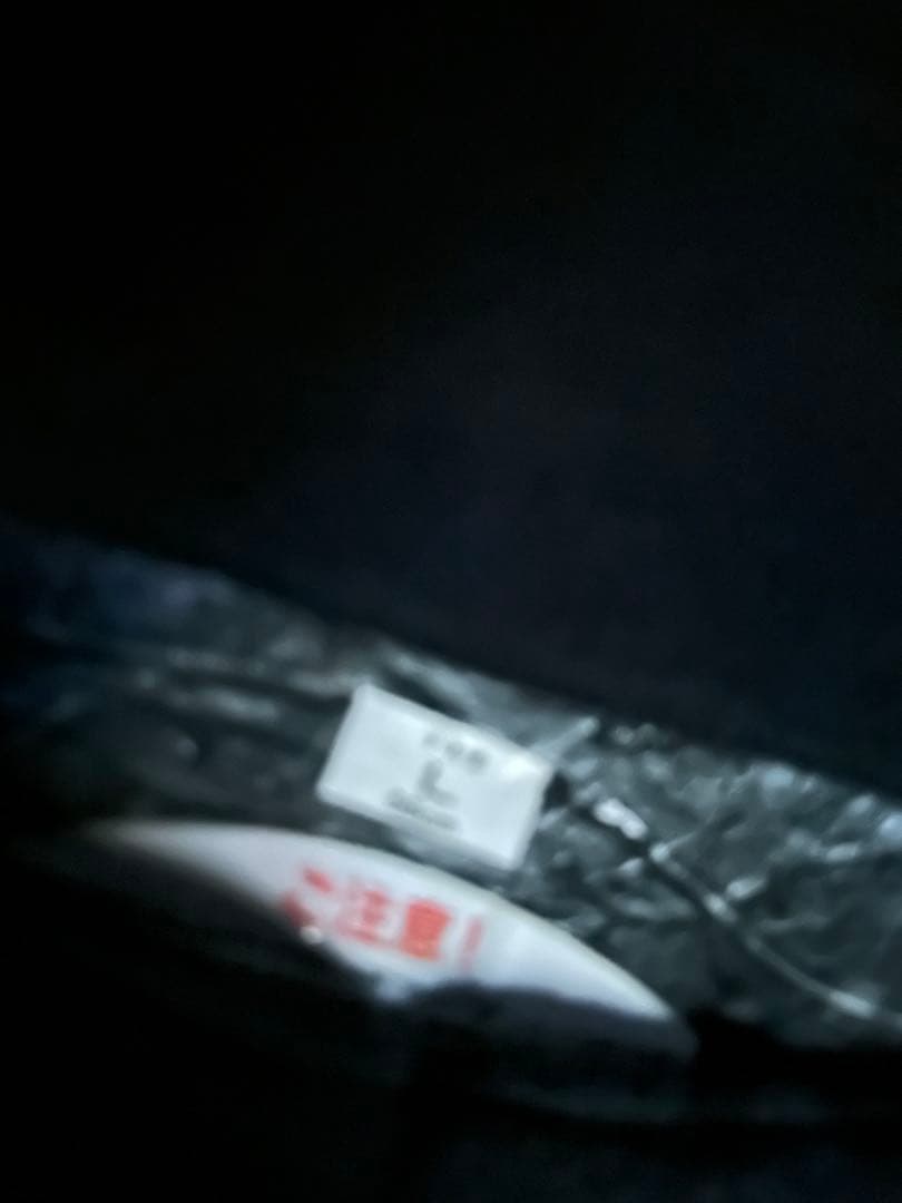 SHOEI グラムスター＆DAYTONA DT-E1＆GoProマウント付き