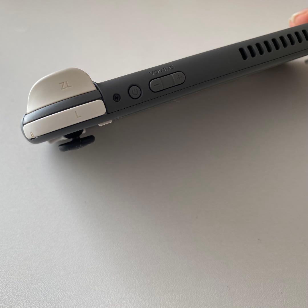 Nintendo Switch Lite グレー 本体　充電器付き