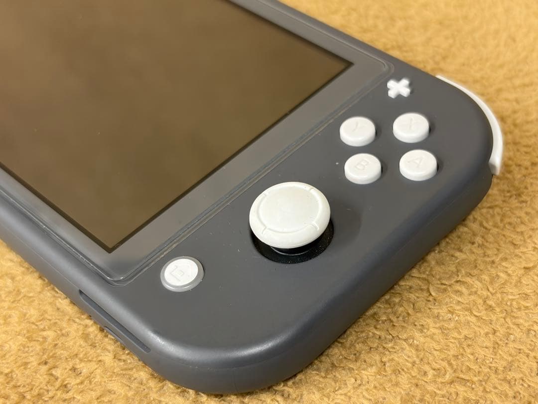 【ケース付】Nintendo Switch Lite グレー 保護ガラス貼付
