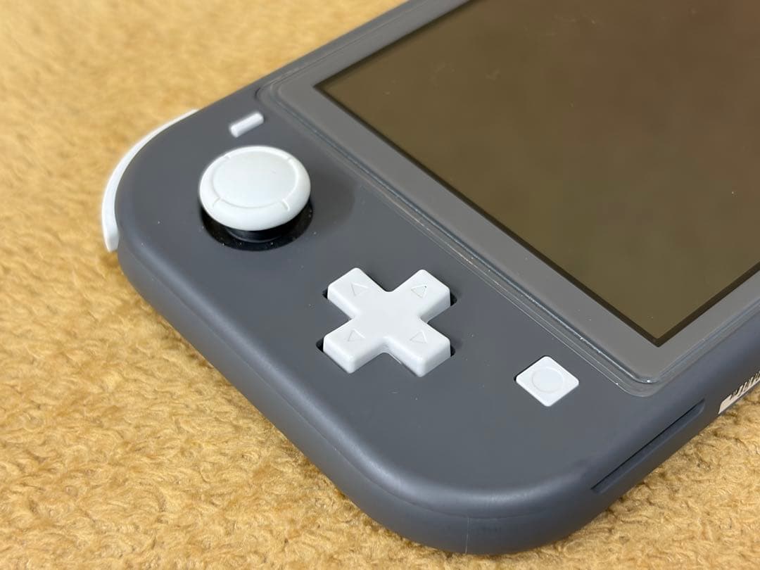 【ケース付】Nintendo Switch Lite グレー 保護ガラス貼付