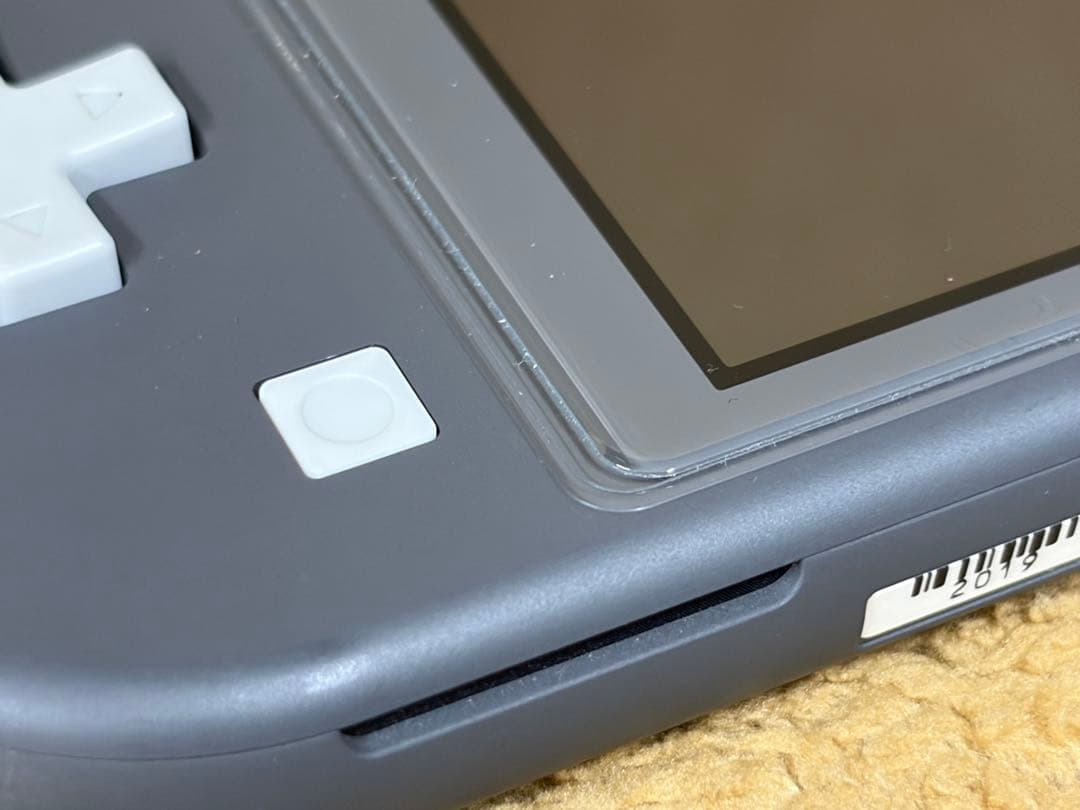 【ケース付】Nintendo Switch Lite グレー 保護ガラス貼付