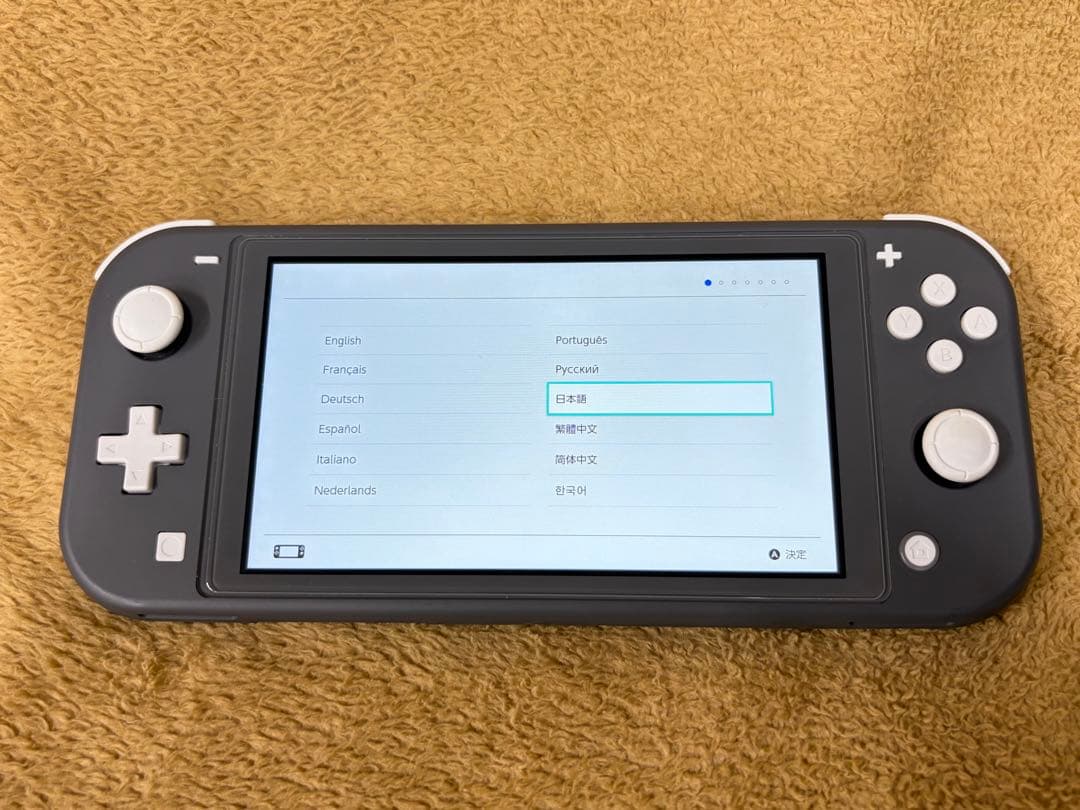 【ケース付】Nintendo Switch Lite グレー 保護ガラス貼付