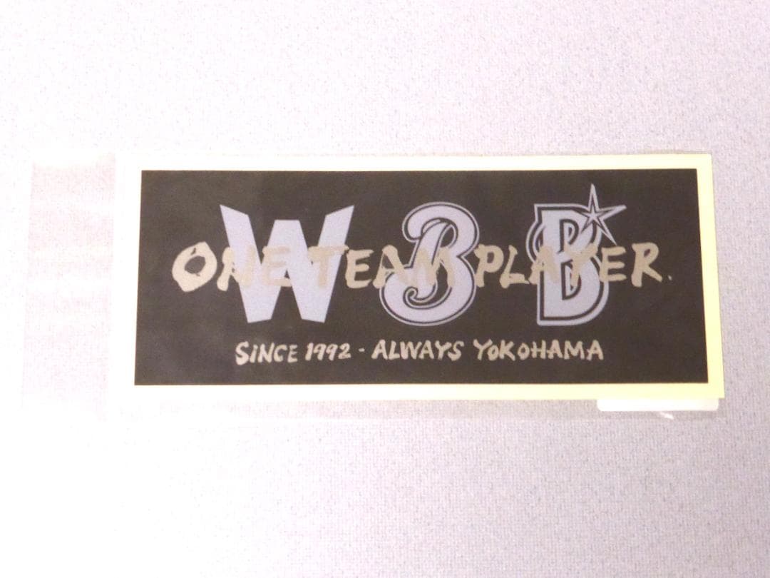 三浦大輔　永遠番長　DVD写真集セット　横浜DeNAベイスターズ監督