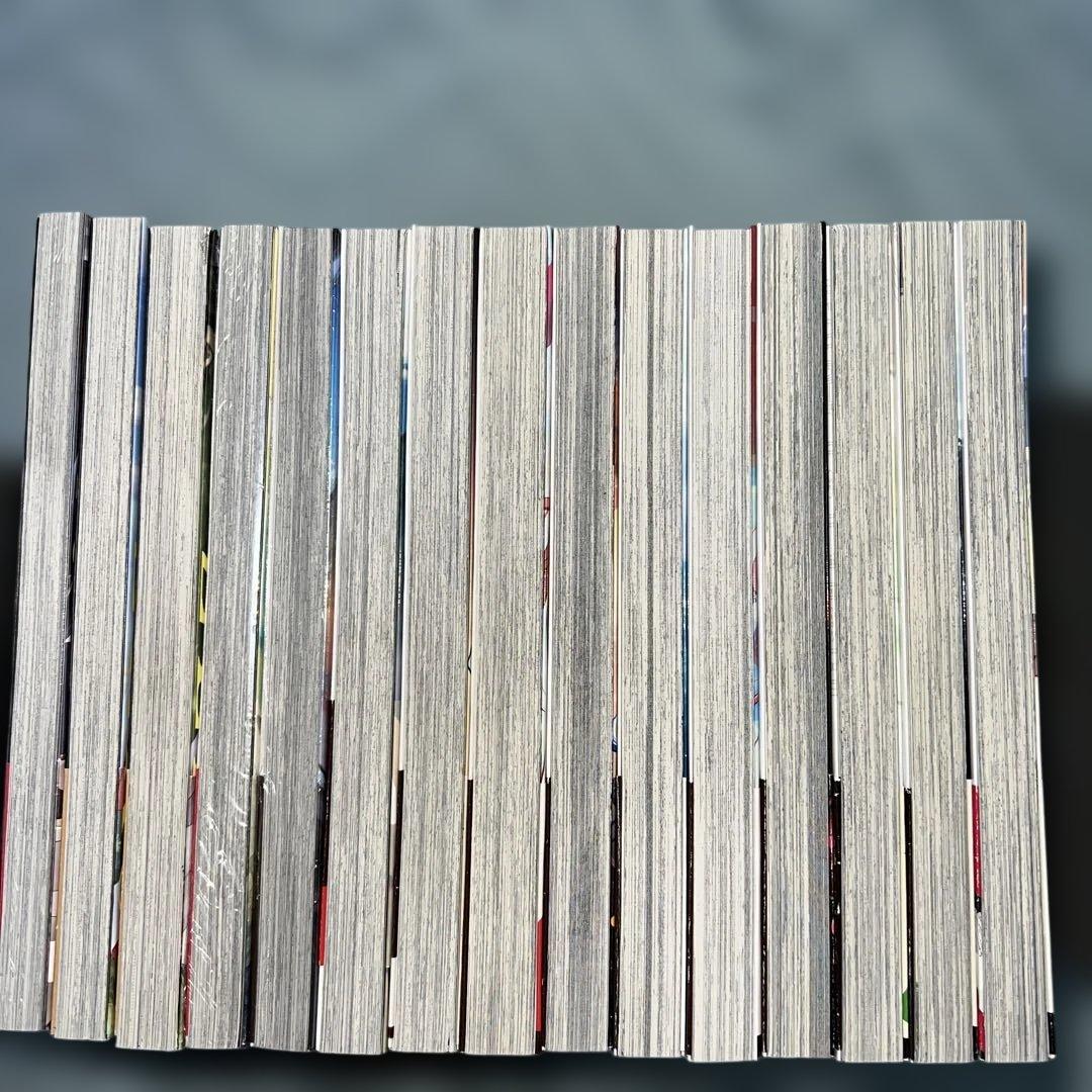 転生した大聖女は聖女であることをひた隠す