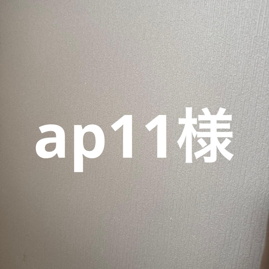 ap11様