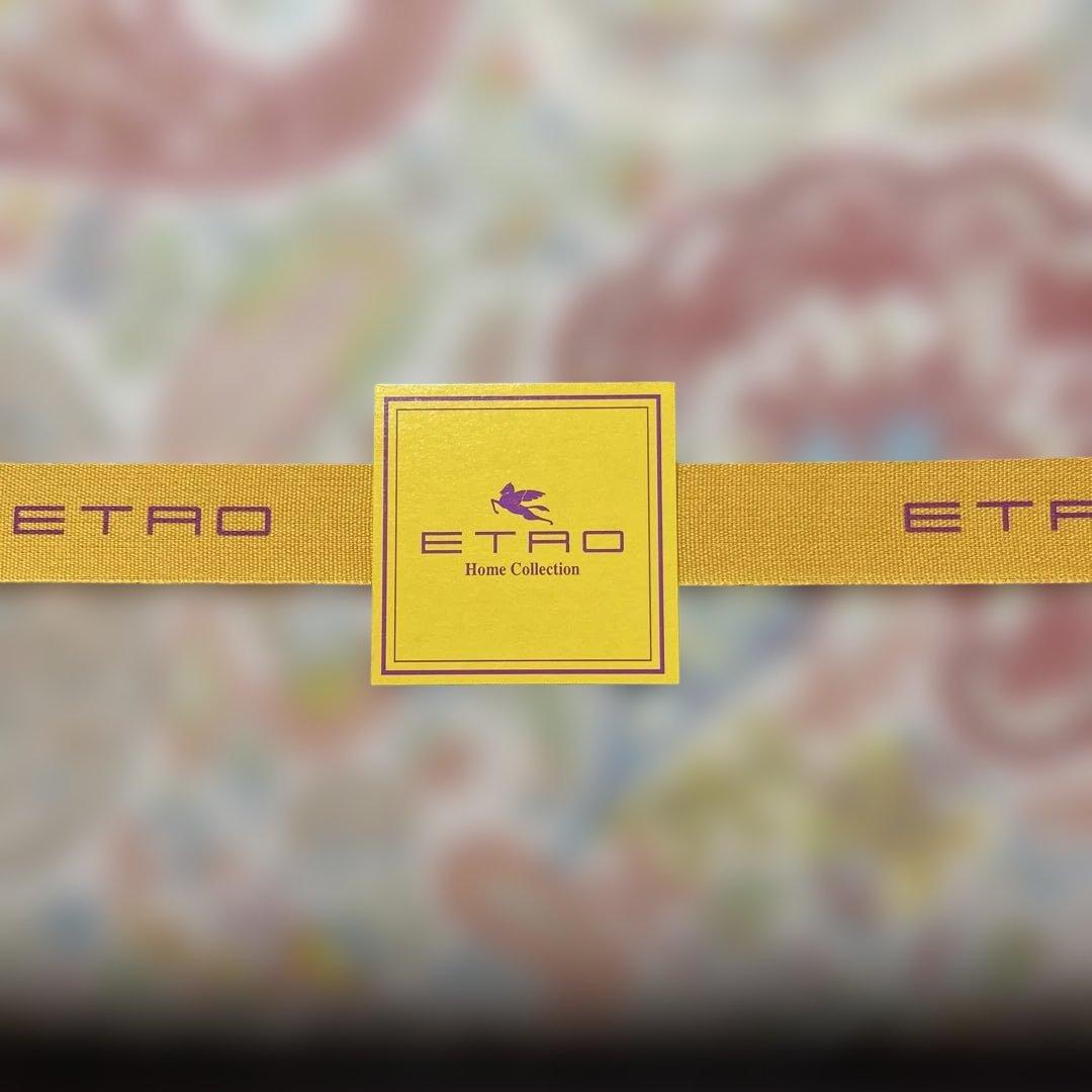 新品未使用　日本製　ETRO エトロ　高級羽毛布団　ダウンケット　肌掛けふとん