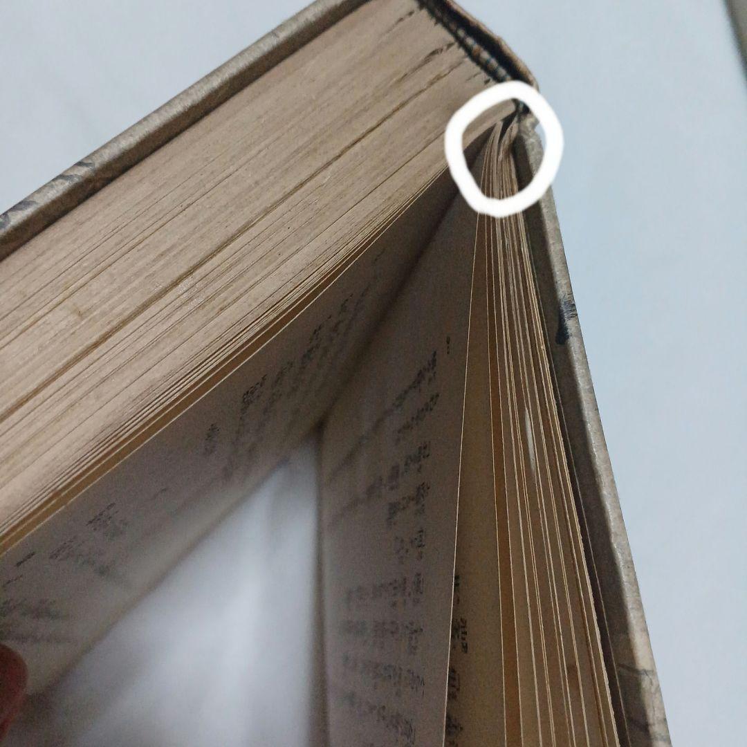 婦系圖　泉鏡花　春陽堂　大正13年　5版　1冊　婦系図