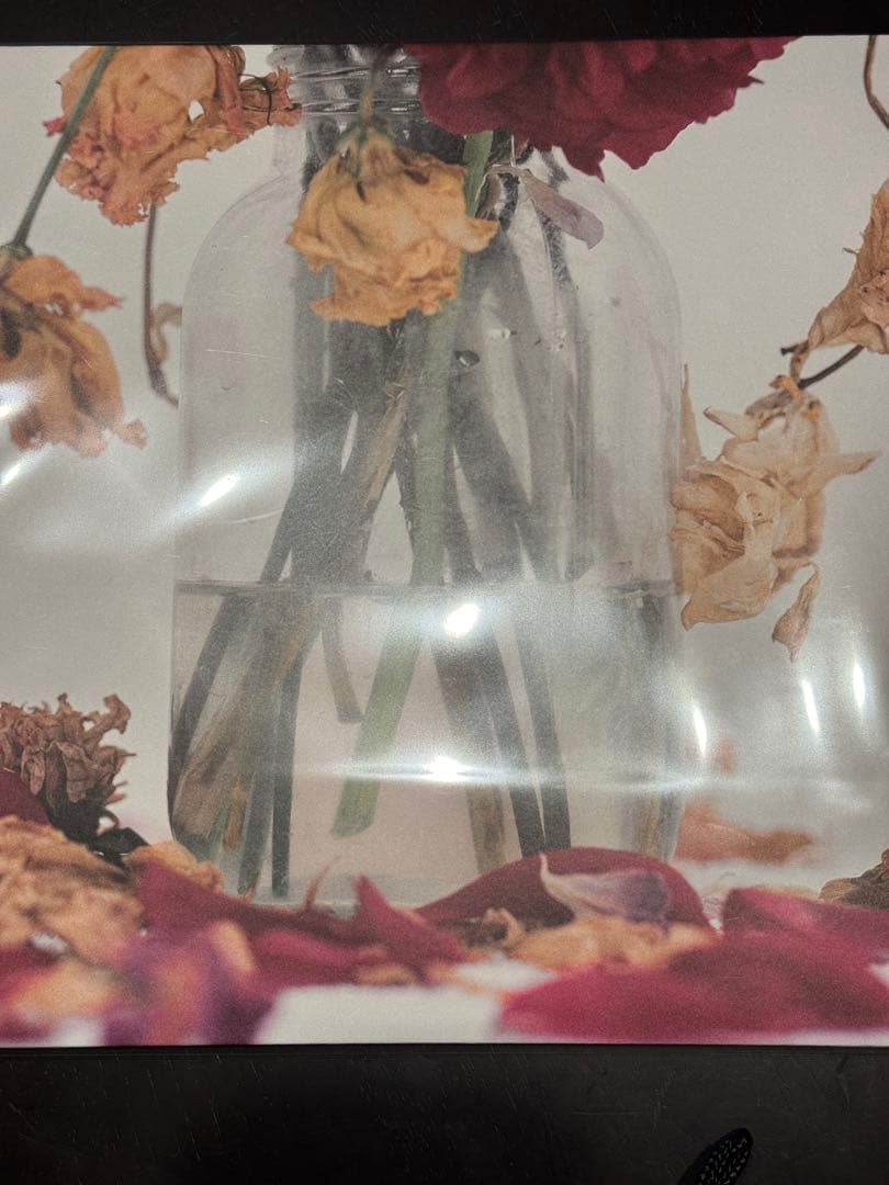 唾奇 武道館公演 Camellia LP (2 vinyl set)