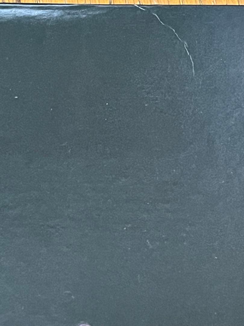 スピッツ spitz 8823 アナログレコード　LP ポリドール